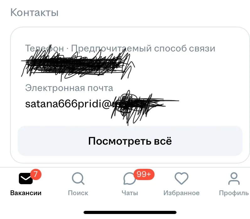 Занятный кандидат | Сетка — социальная сеть от hh.ru