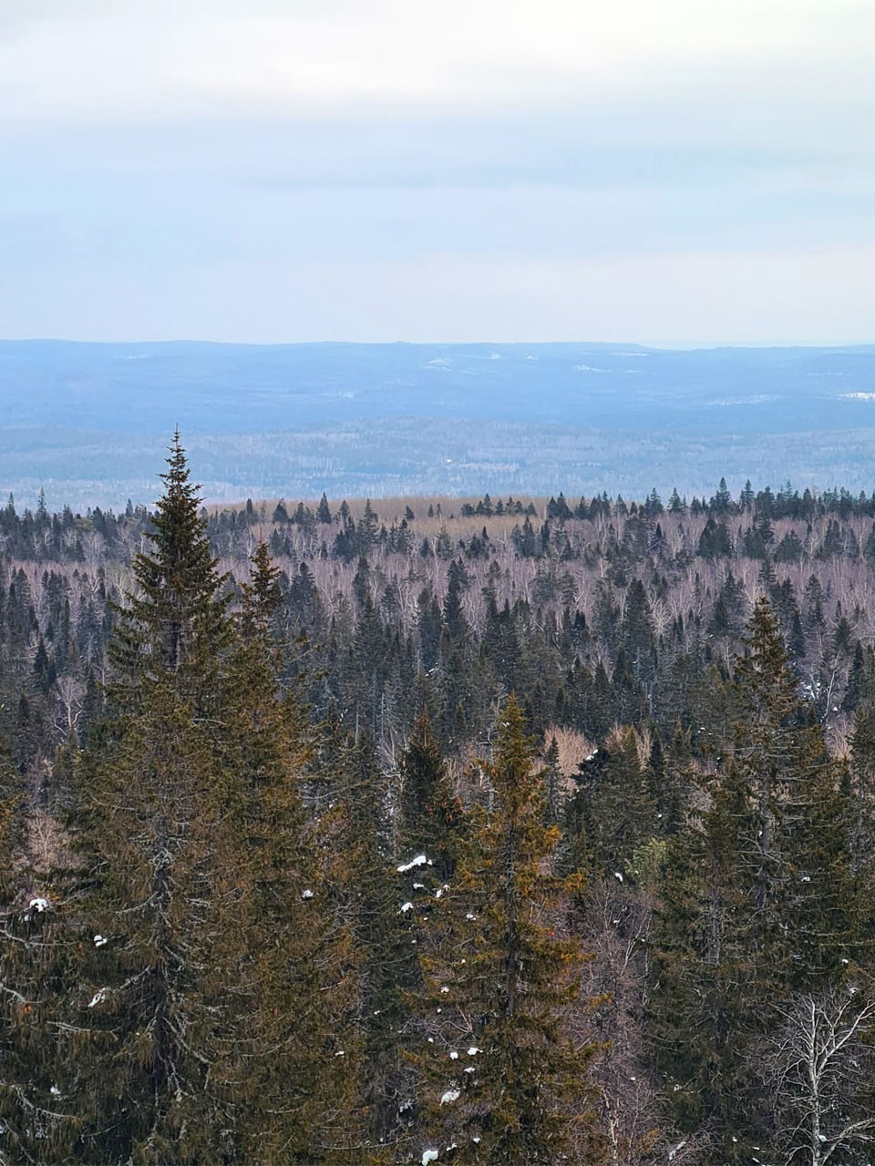 Сходили с друзьями в небольшой ПВД (поход выходного дня) в окрестности горы Шунут. Это недалеко от Екатеринбурга. Прошли легким прогулочным шагом около 20 км | Сетка — социальная сеть от hh.ru