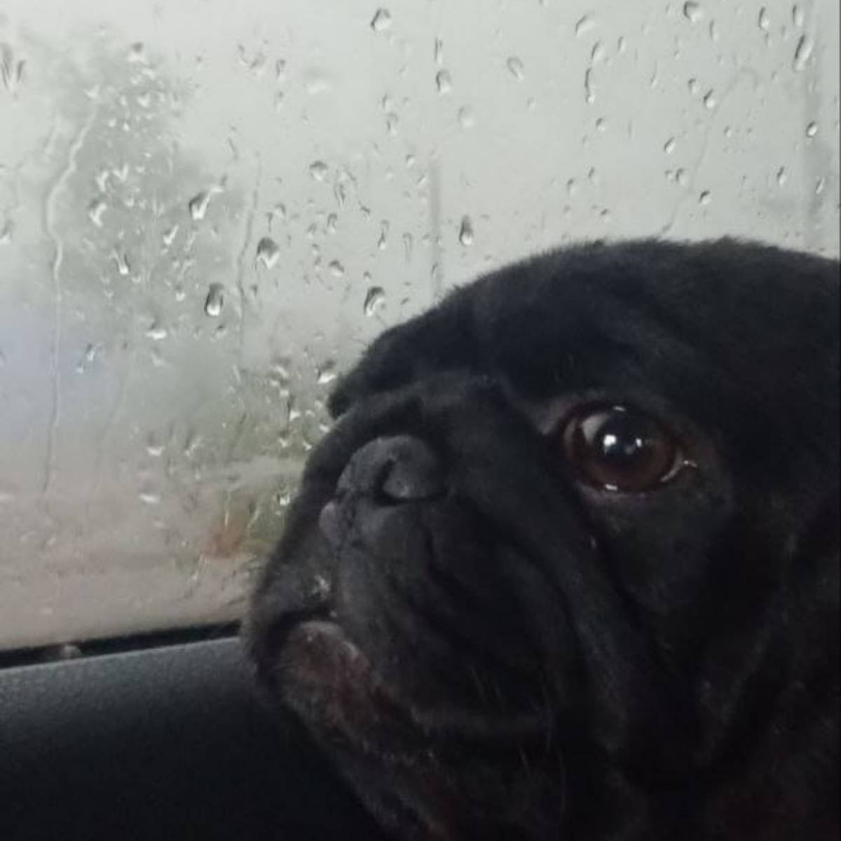 Попов Евгений