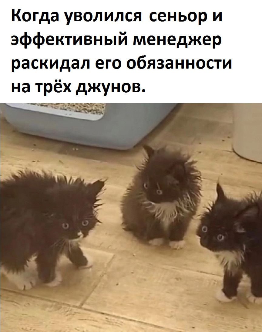 🐝 Главное в такой ситуации – верить, что опыт приходит с задачами, а не с годами, и не бояться, даже если ты совсем еще маленькая пчелка-труженник
Кто знаком с такой ситуацией? | Сетка — социальная сеть от hh.ru