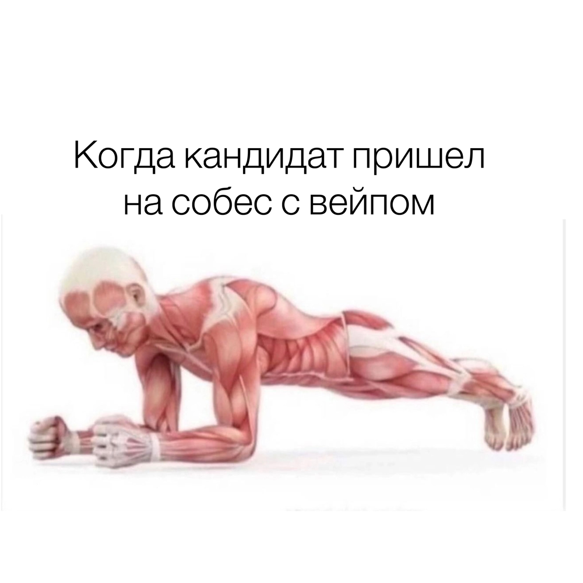 Как и обещала, мемы про HR-ов были, настало время мемов про кандидатов 🫦🫶 | Сетка — социальная сеть от hh.ru