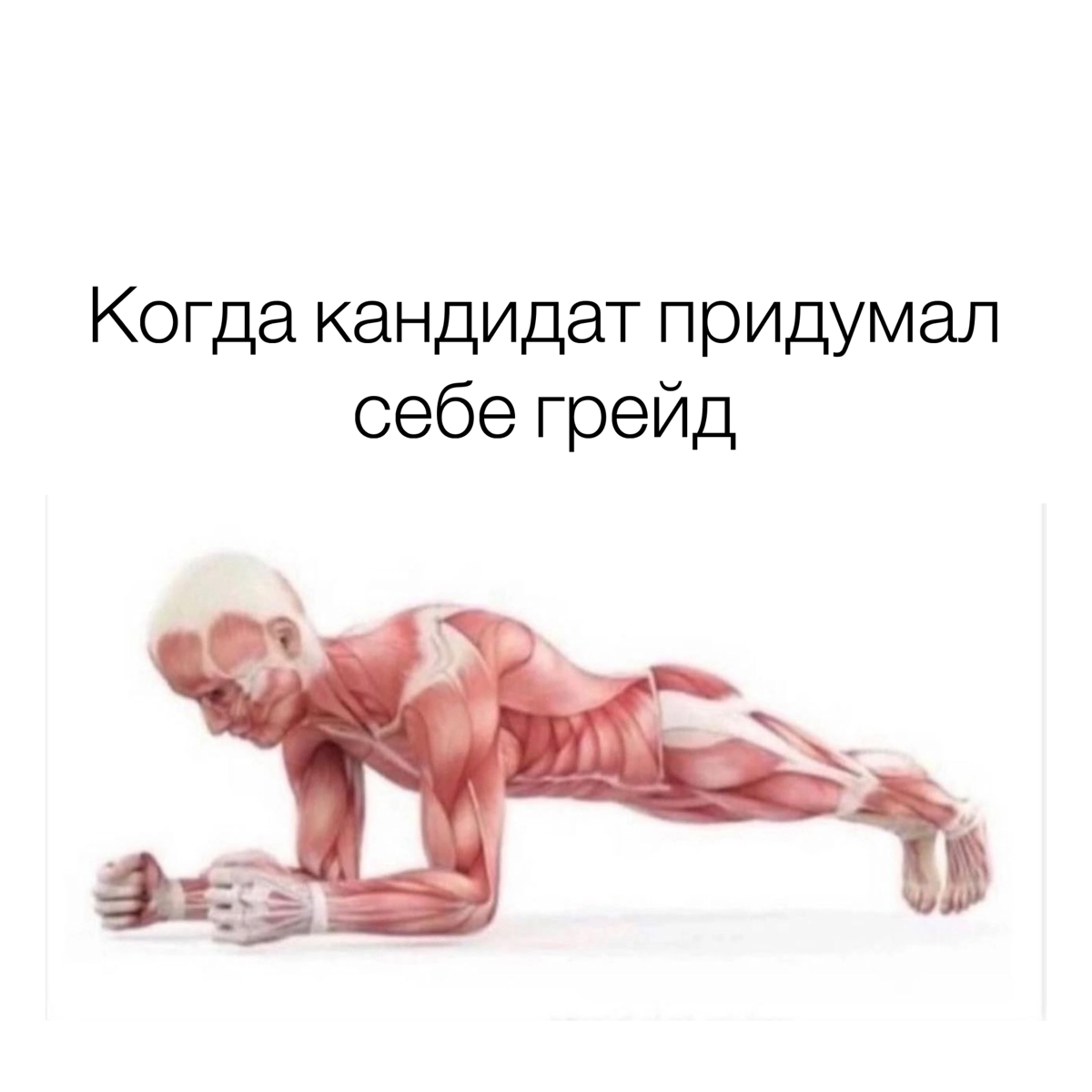 Как и обещала, мемы про HR-ов были, настало время мемов про кандидатов 🫦🫶 | Сетка — социальная сеть от hh.ru