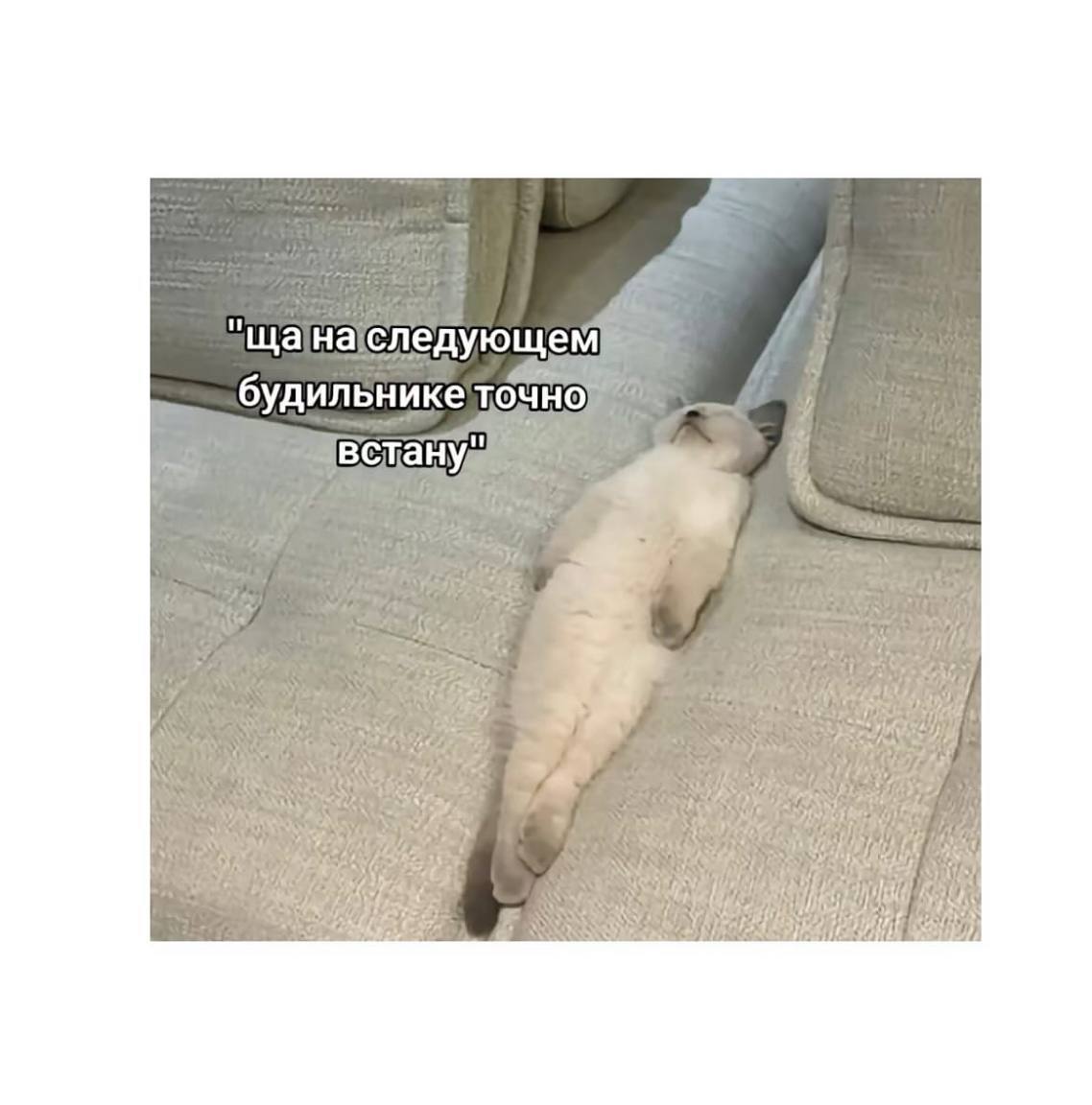 Хорошей рабочей недели, Сенсумчане 😉 | Сетка — социальная сеть от hh.ru