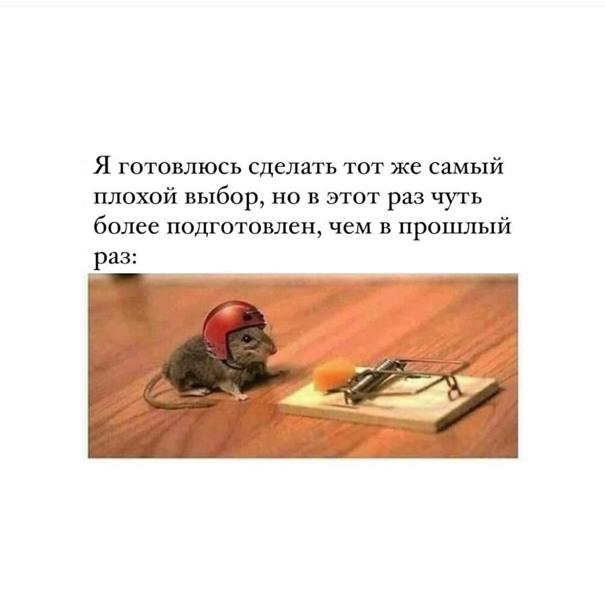 Хорошей рабочей недели, Сенсумчане 😉 | Сетка — социальная сеть от hh.ru