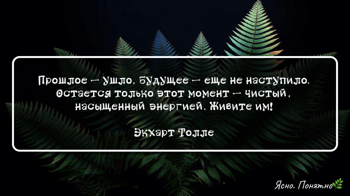 Нужно было покупать биткоины!🪙 | Сетка — социальная сеть от hh.ru