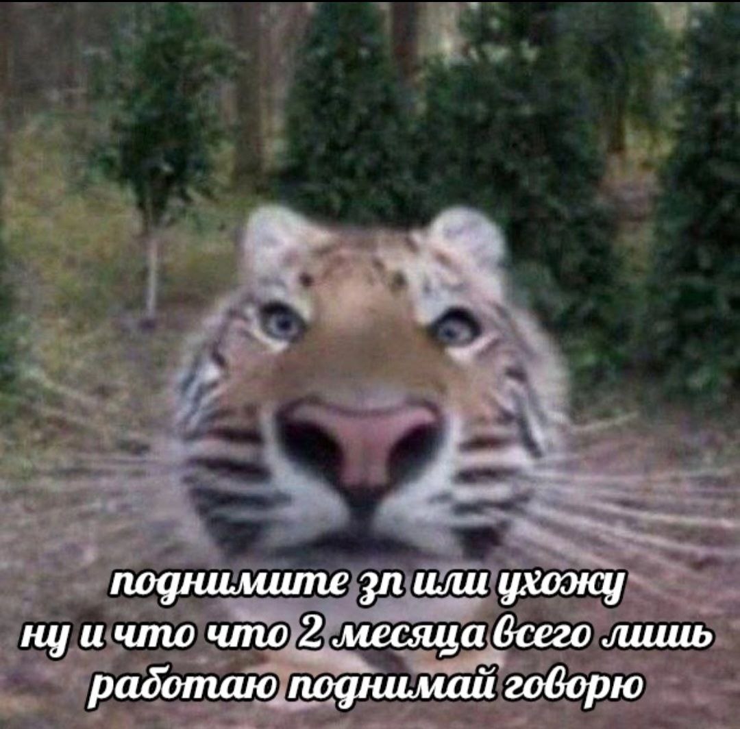 Почему долгосрочные цели ставить неэффективно
Размышляли мы тут с коллегой про бессмысленность вопросов типа "Как ты видишь себя через 5 лет"🤓
Часто говорят, что цели должны быть прописаны на годы (вп... | Сетка — социальная сеть от hh.ru