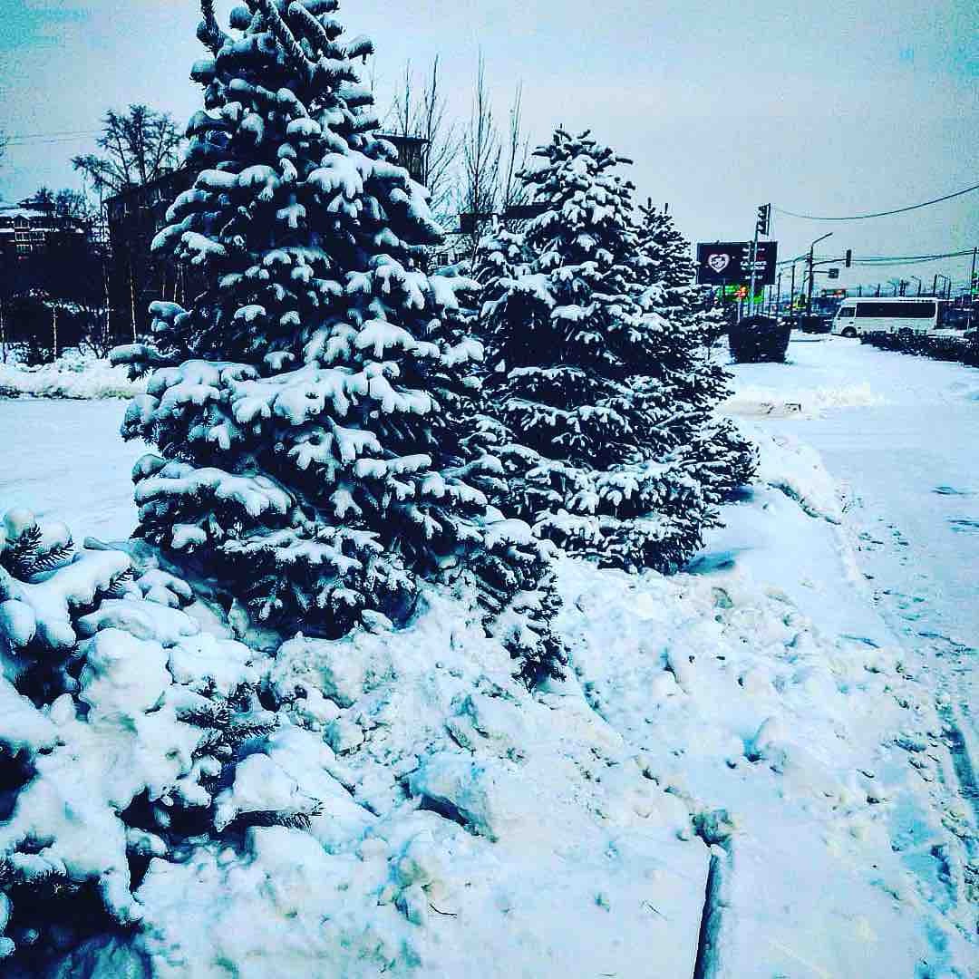 Александр Майфат