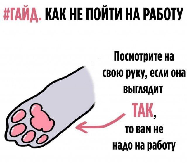 Надо идти 😿 | Сетка — социальная сеть от hh.ru