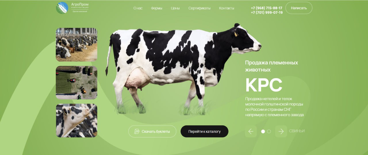 Корову надо? Как продавать племенных животных за границей России
Животноводство — это не просто бизнес, а стратегическая отрасль, где важен каждый этап: от выбора племенного скота до его реализации | Сетка — социальная сеть от hh.ru