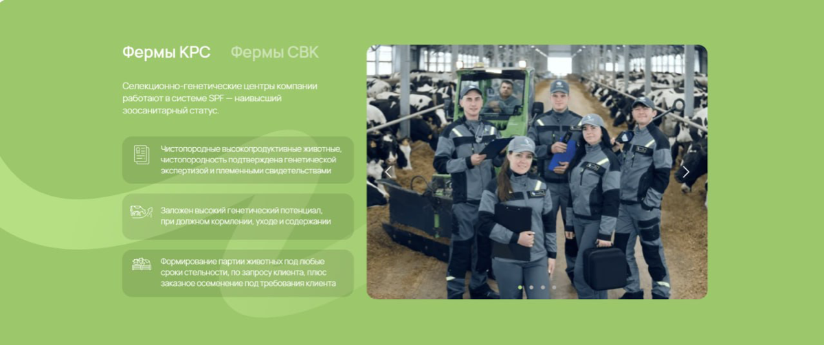 Корову надо? Как продавать племенных животных за границей России
Животноводство — это не просто бизнес, а стратегическая отрасль, где важен каждый этап: от выбора племенного скота до его реализации | Сетка — социальная сеть от hh.ru