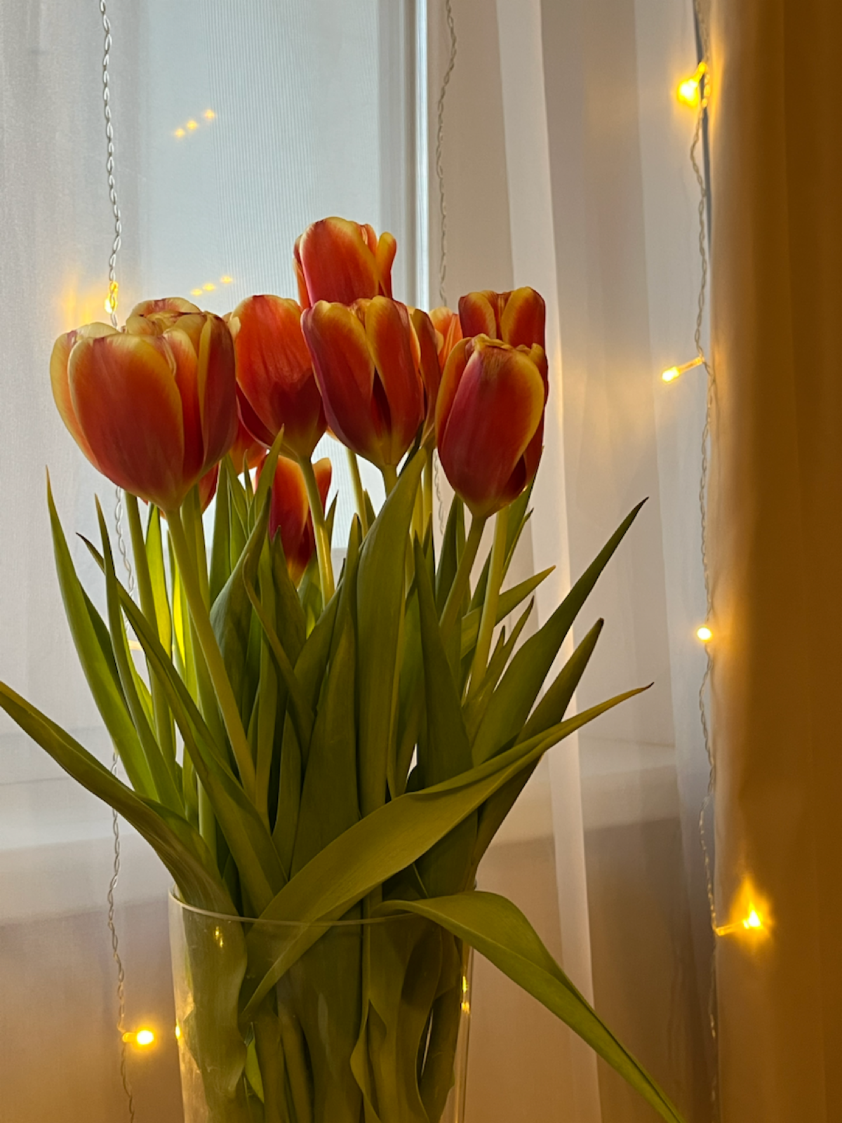 Мой рабочий стол, когда пришла весна и скоро 8 марта 🌷 | Сетка — социальная сеть от hh.ru