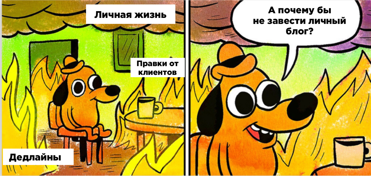 Я почти три года не вела личный блог. Выводы | Сетка — социальная сеть от hh.ru