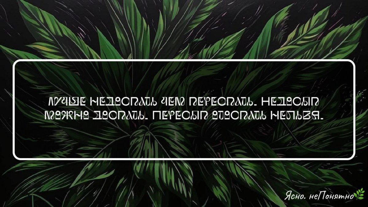 Гипотеза | Сетка — социальная сеть от hh.ru