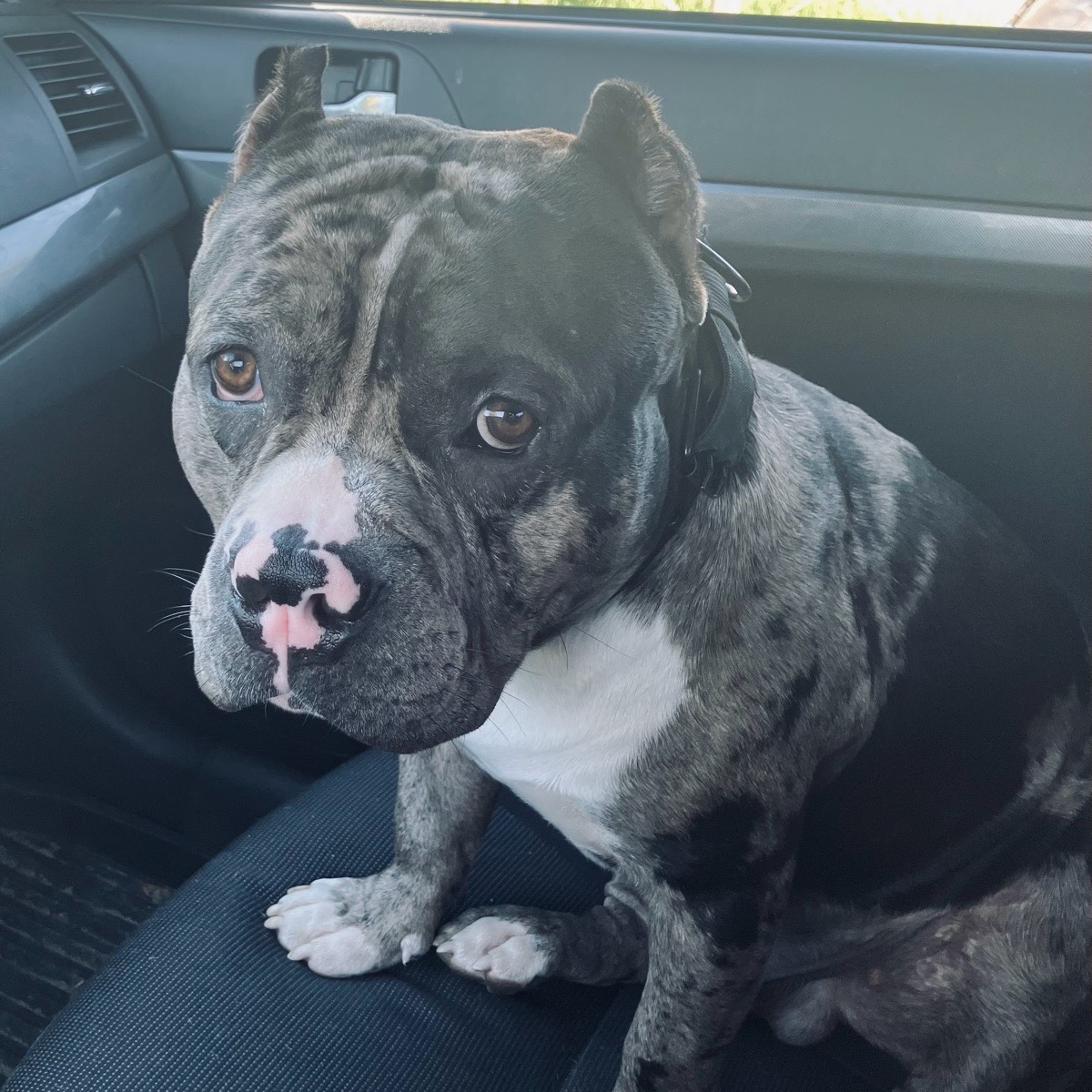 Maria Rim | Сетка — социальная сеть от hh.ru