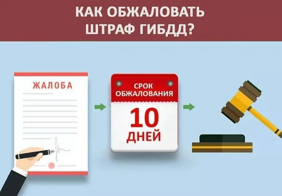 Как оспорить штраф? | Сетка — социальная сеть от hh.ru