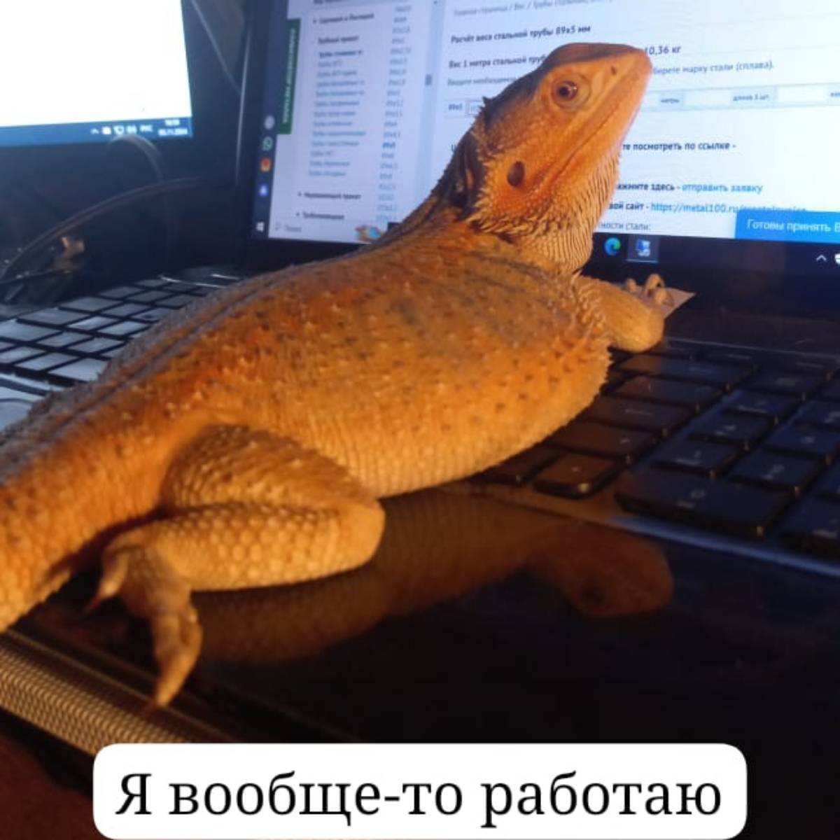 София Демидова