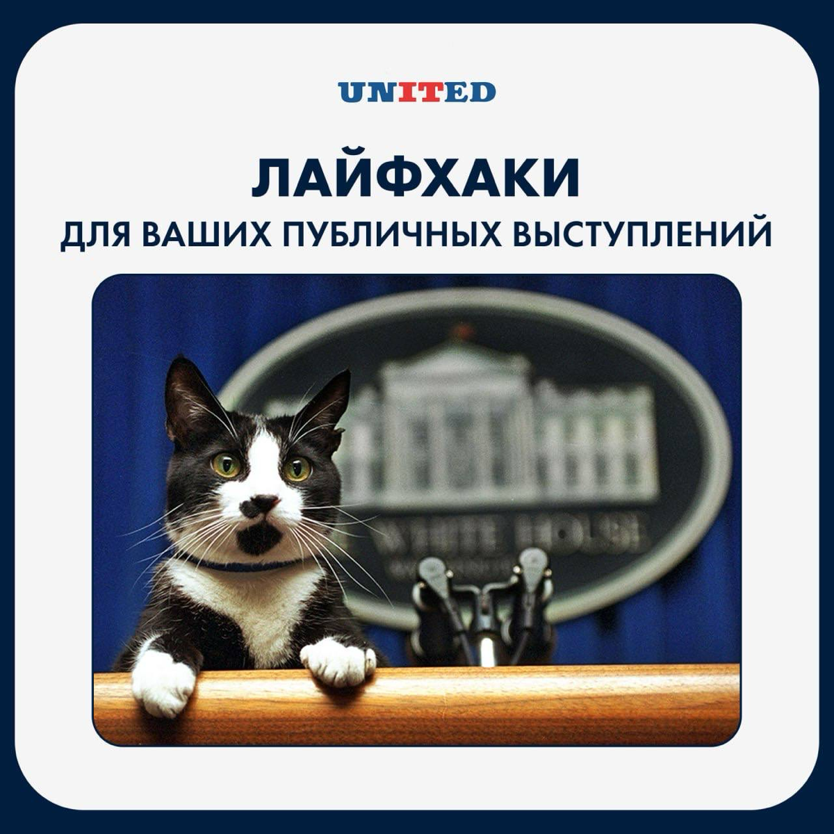 Лайфхаки для ваших публичных выступлений 🤩 | Сетка — социальная сеть от hh.ru
