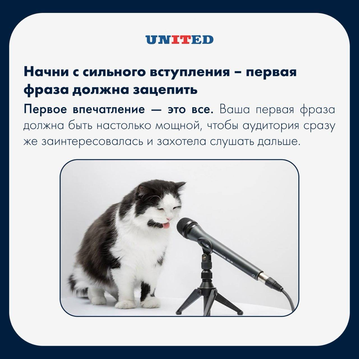 Лайфхаки для ваших публичных выступлений 🤩 | Сетка — социальная сеть от hh.ru