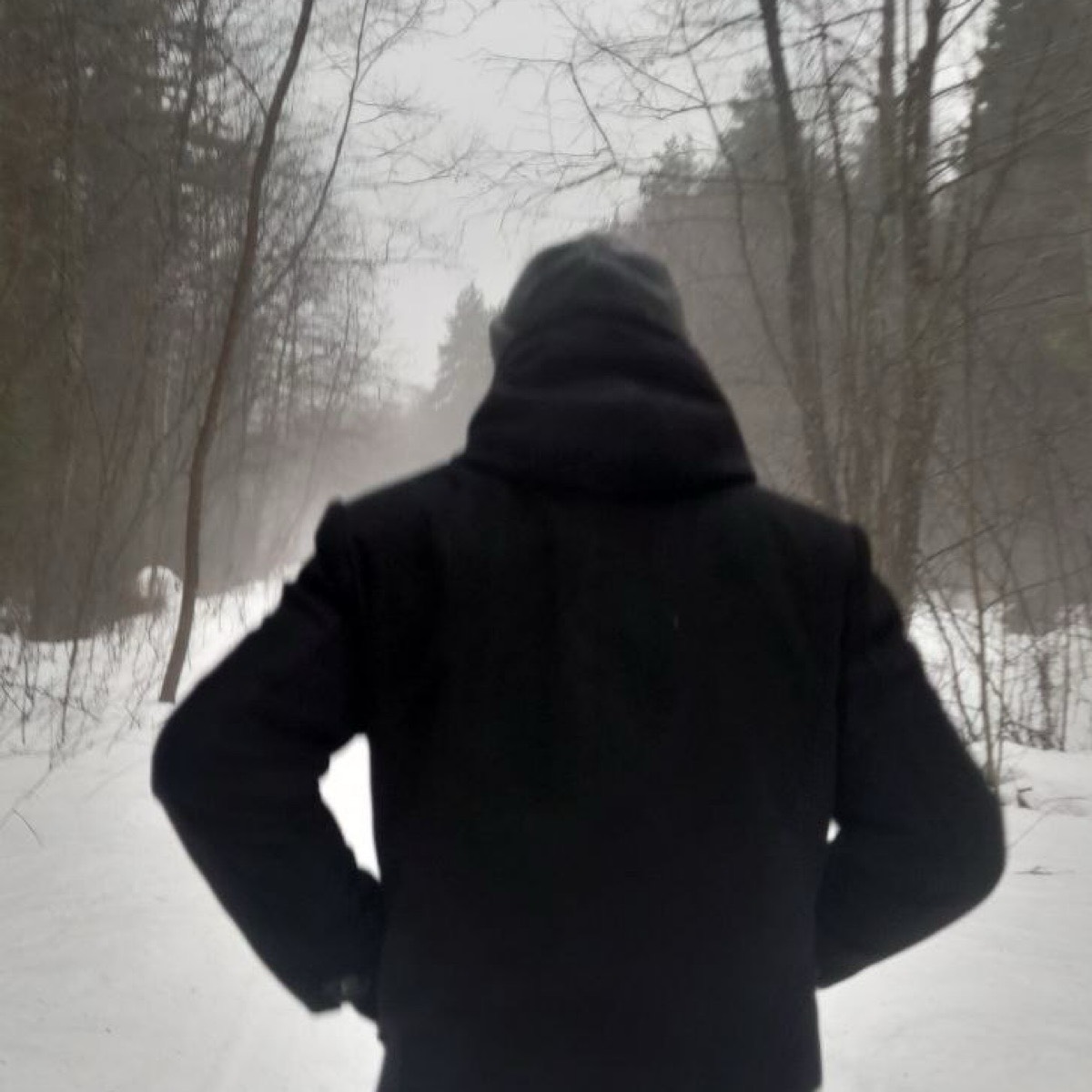 Александр Покровский