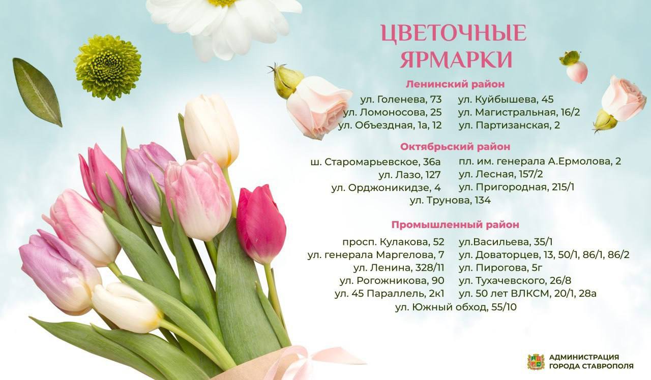 Дарите женщинам цветы!
6 марта в трех районах Ставрополя будут работать цветочные ярмарки.
Несколько десятков флористов представят красивые весенние букеты на 29 площадках краевой столицы | Сетка — социальная сеть от hh.ru