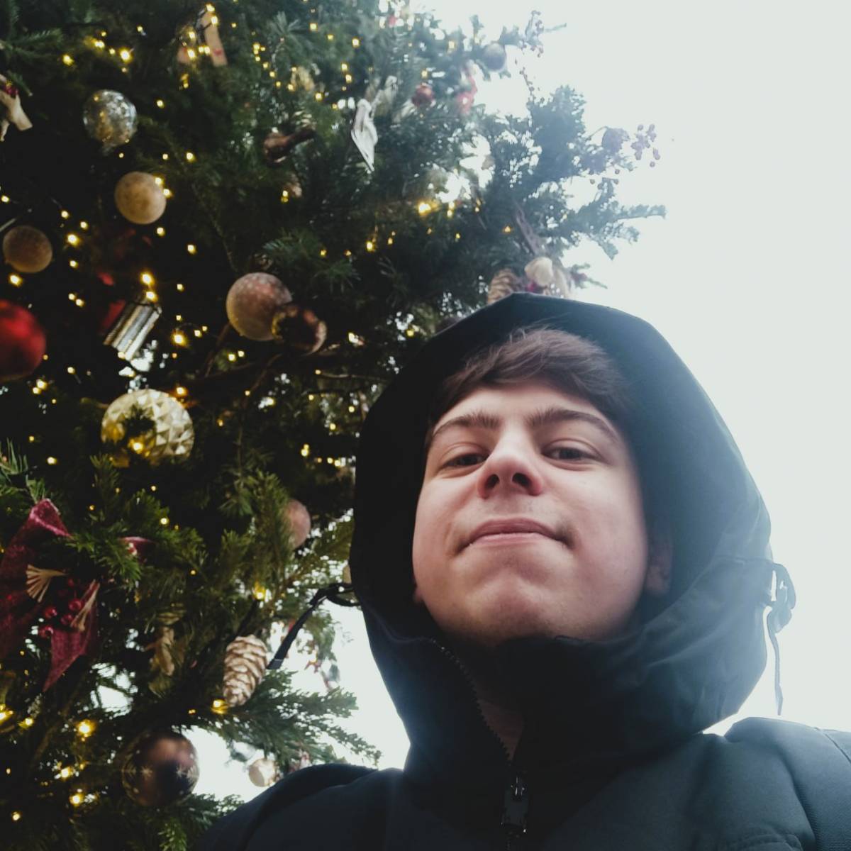 Данила Потапов