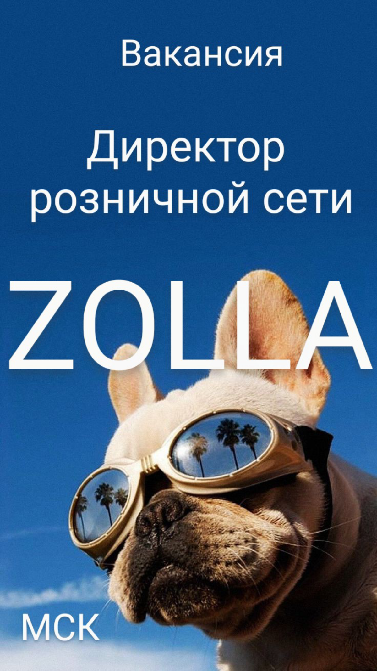 #ВАКАНСИЯ: Директор розничной сети
КОМПАНИЯ: Zolla – крупная федеральная сеть магазинов мужской и женской одежды
ЛОКАЦИЯ: Москва
ЗАДАЧИ:
•  Аудит бизнес-процессов розницы | Сетка — социальная сеть от hh.ru