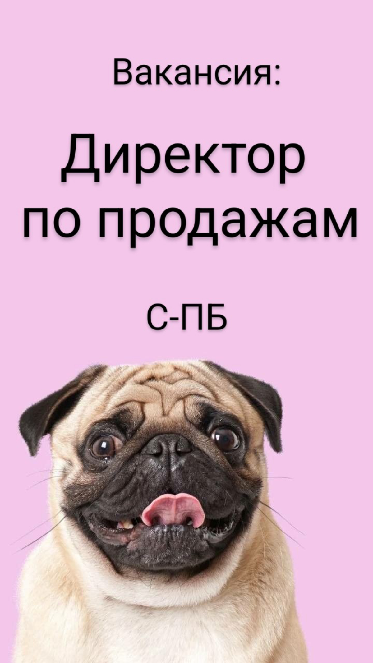 #ВАКАНСИЯ: Директор по продажам России
КОМПАНИЯ: в очень классную, международную компанию, лидер в своей отрасли
ЛОКАЦИЯ: Санкт-Петербург | Сетка — социальная сеть от hh.ru