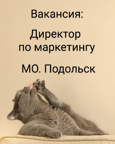 #ВАКАНСИЯ: Директор по маркетингу // от 500т | Сетка — социальная сеть от hh.ru