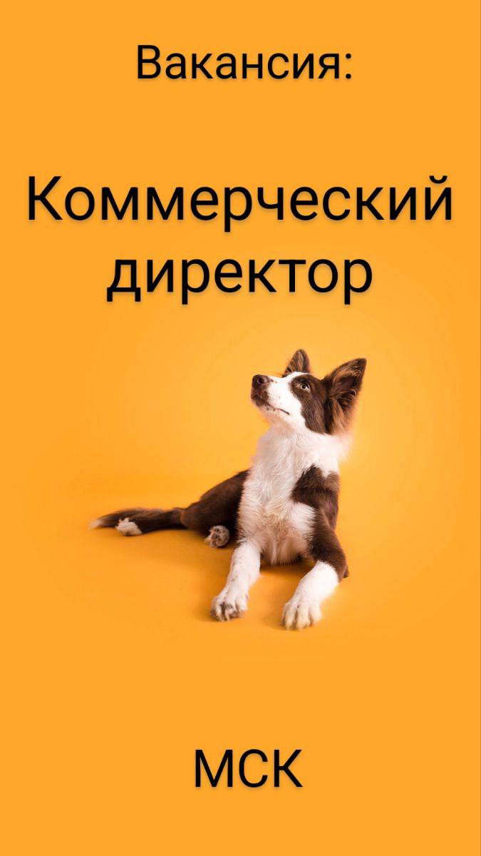 #ВАКАНСИЯ: Коммерческий директор (ДМС/юр | Сетка — социальная сеть от hh.ru
