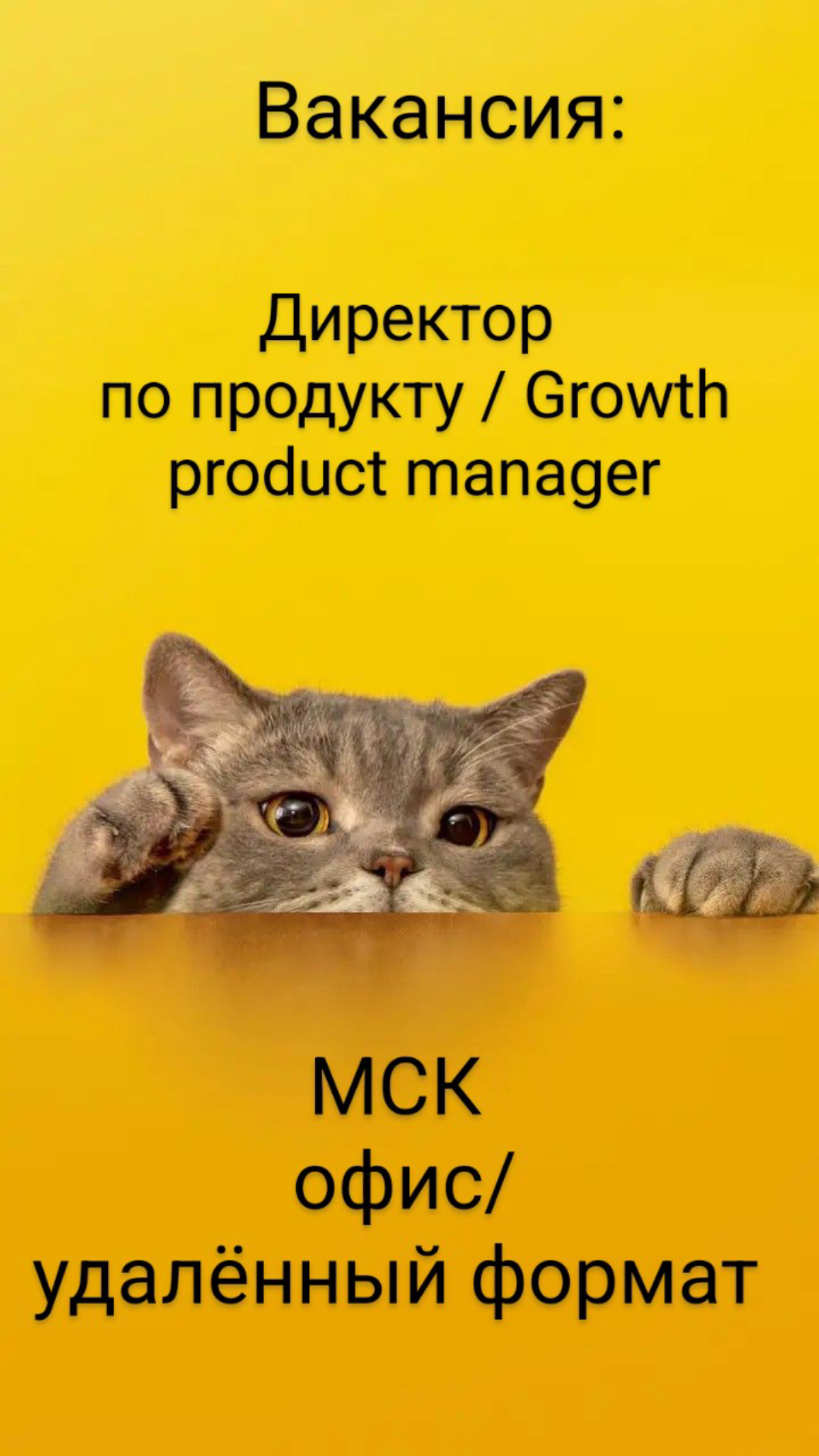 #ВАКАНСИЯ: Директор по продукту / Growth product manager
КОМПАНИЯ: BIRCH - продюсерский центр образовательных онлайн-проектов
Коротко о нас:
•  Работаем с 2018 года | Сетка — социальная сеть от hh.ru