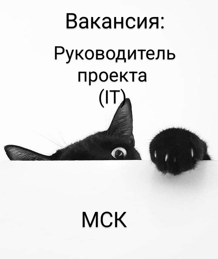 #ВАКАНСИЯ: Руководитель проекта
КОМПАНИЯ: БФТ-Холдинг
ЛОКАЦИЯ: Москва
БФТ 28 лет на IT-рынке:
— Более 6500 проектов в 83 регионах | Сетка — социальная сеть от hh.ru