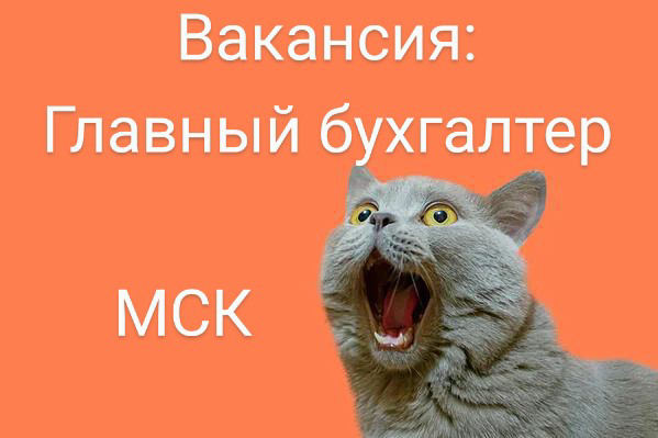 #ВАКАНСИЯ: Главный бухгалтер
КОМПАНИЯ: Группу-компаний на определенное направление.
ЛОКАЦИЯ: Москва
ЗАДАЧИ:
•  Организация и контроль бухгалтерского учета (ОСНО, УСН, не более 5 юр. лиц) | Сетка — социальная сеть от hh.ru
