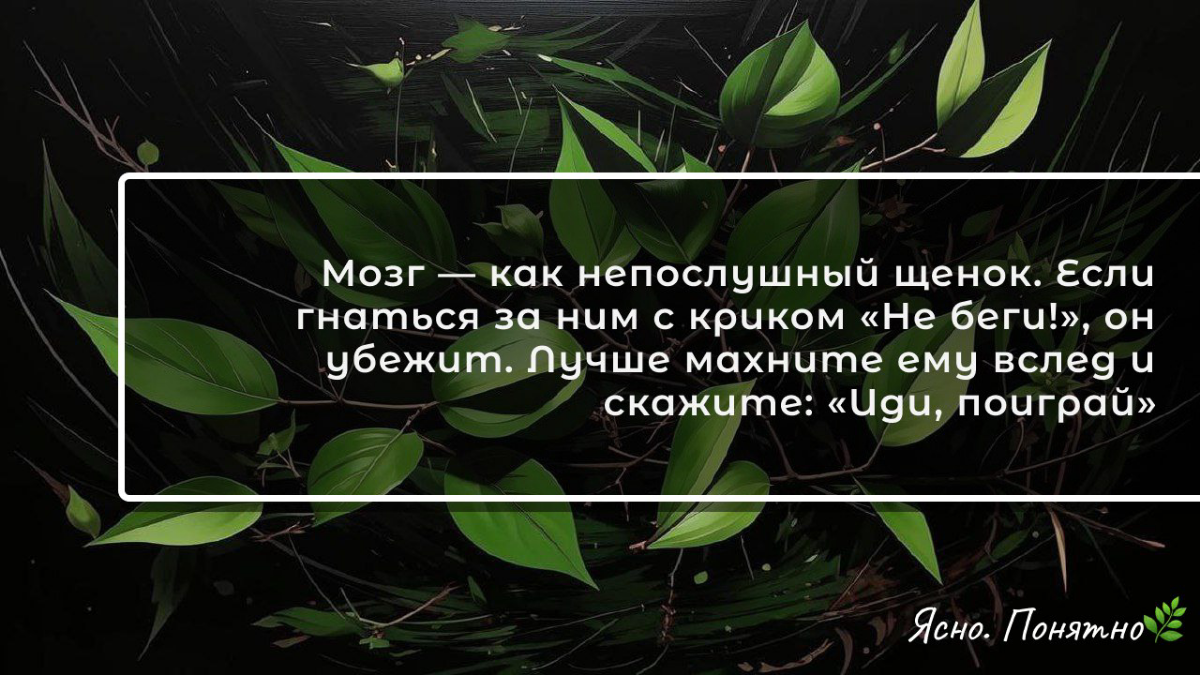 Розовый слон🐘 | Сетка — социальная сеть от hh.ru