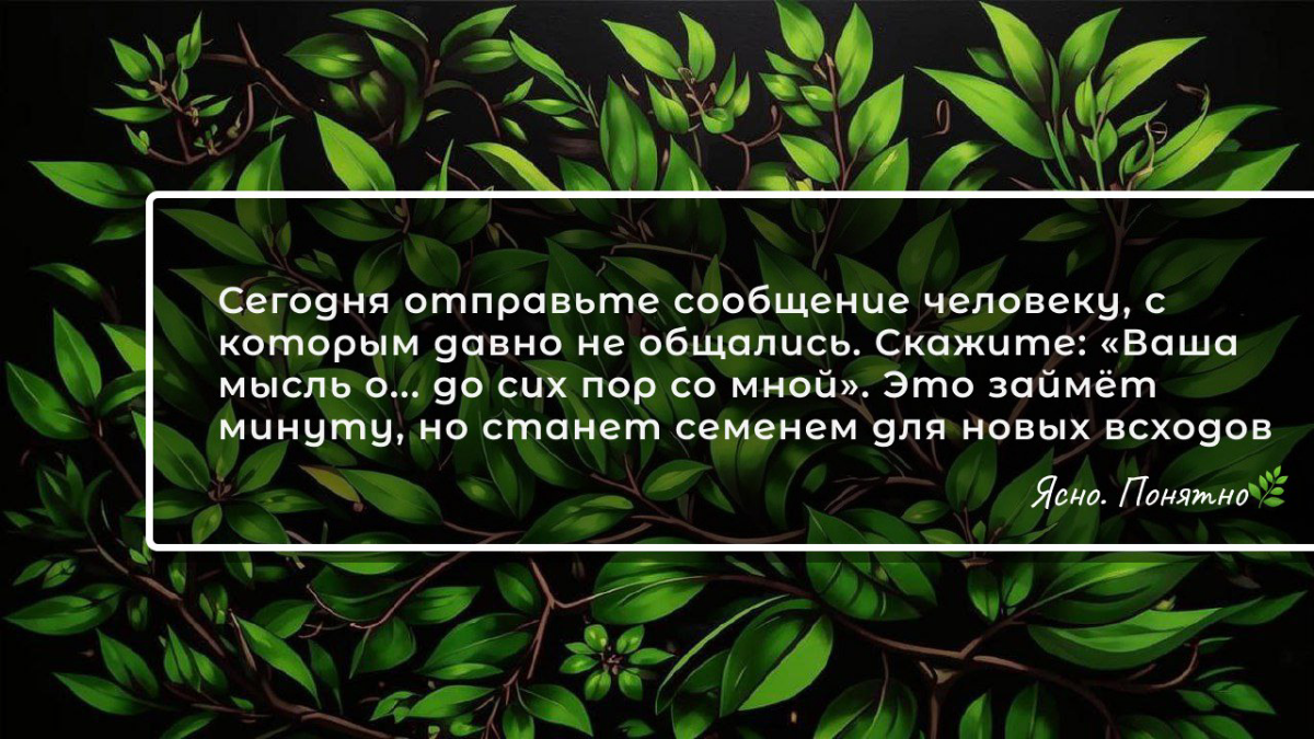 ☕Кофе-пост: Философия действия в нетворкинге | Сетка — социальная сеть от hh.ru