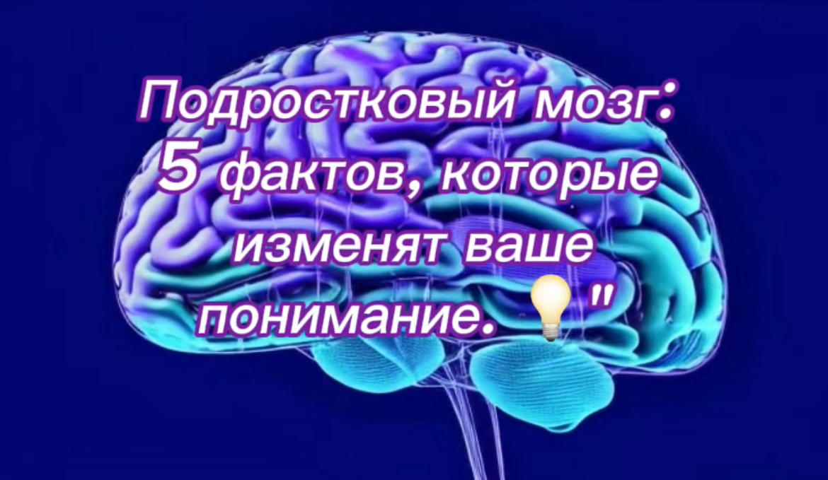 «5 фактов о подростковом мозге, которые вы не знали" | Сетка — социальная сеть от hh.ru