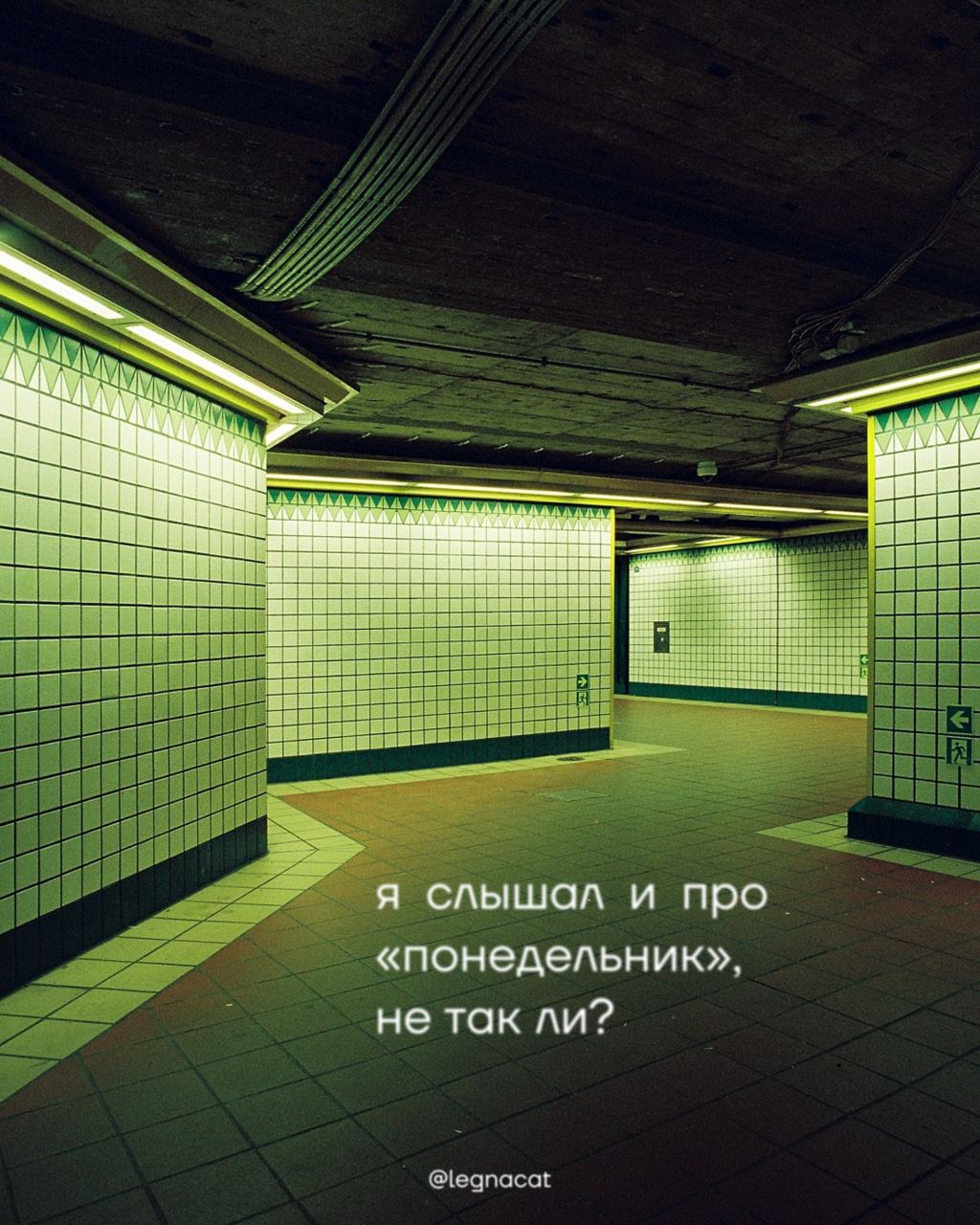 зачем? | Сетка — социальная сеть от hh.ru