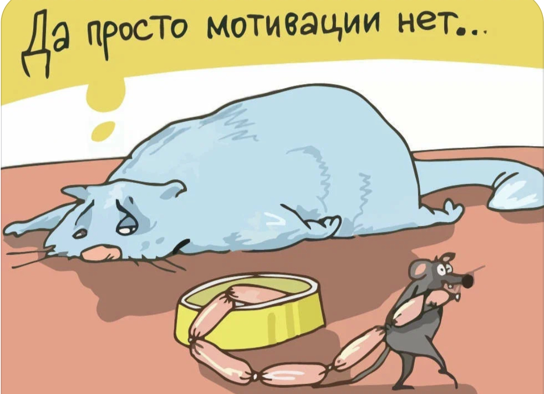 Состояние определяет результат 😊👍 | Сетка — социальная сеть от hh.ru