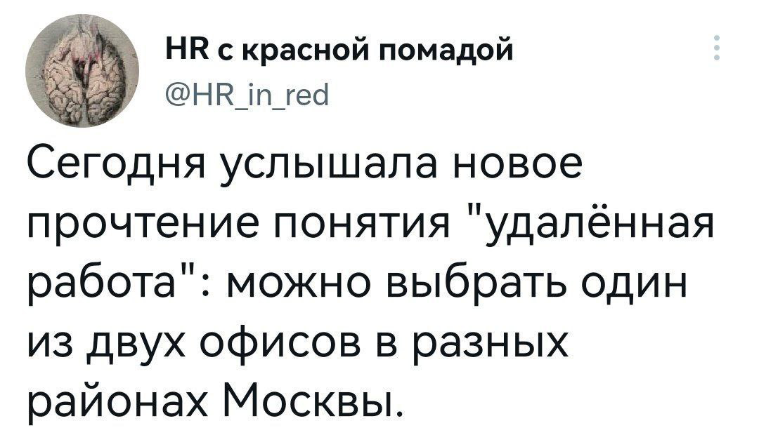 Сетка — социальная сеть от hh.ru