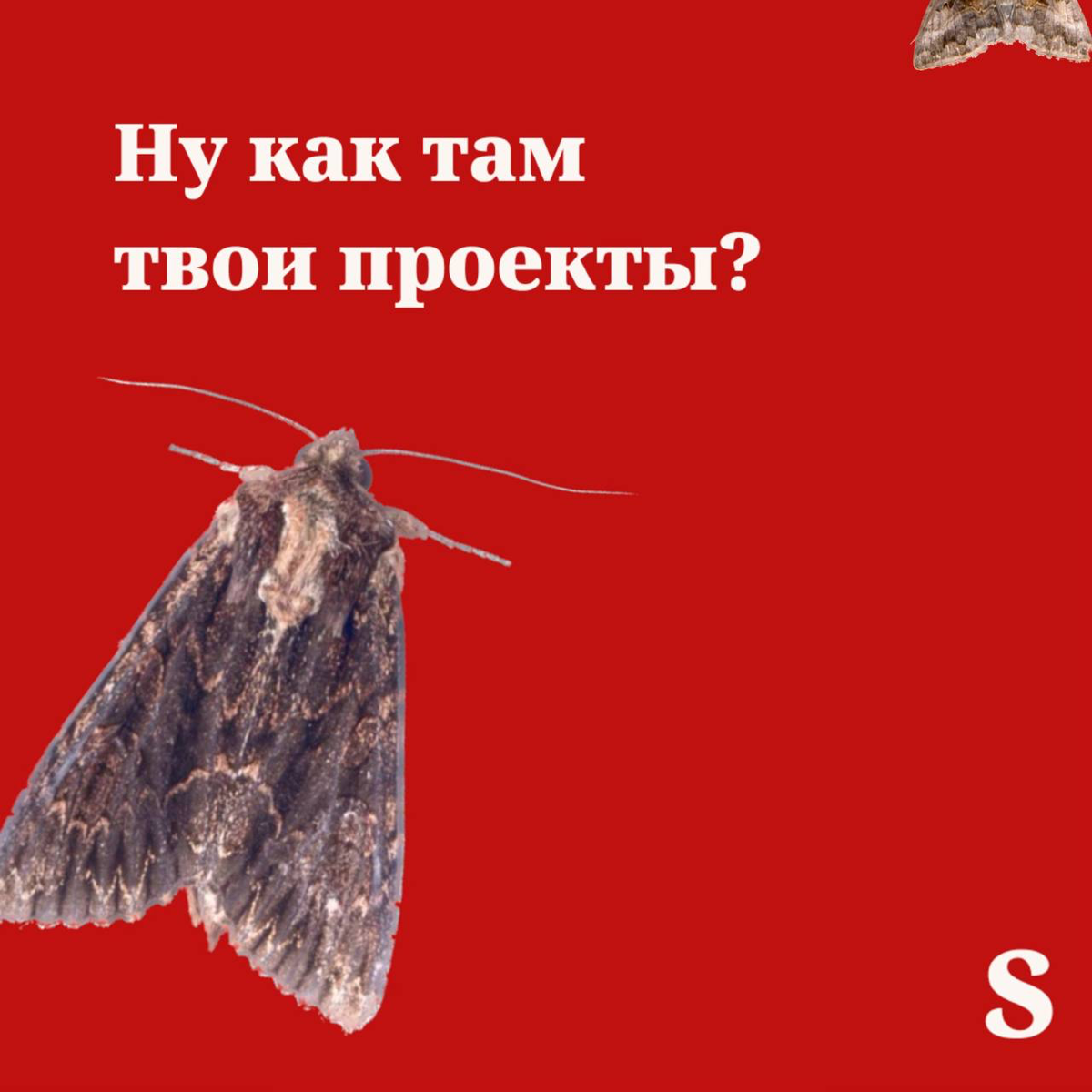 Рандомные рабочие задачи как моль, что завелась в квартире | Сетка — социальная сеть от hh.ru