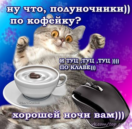 Сетка — социальная сеть от hh.ru
