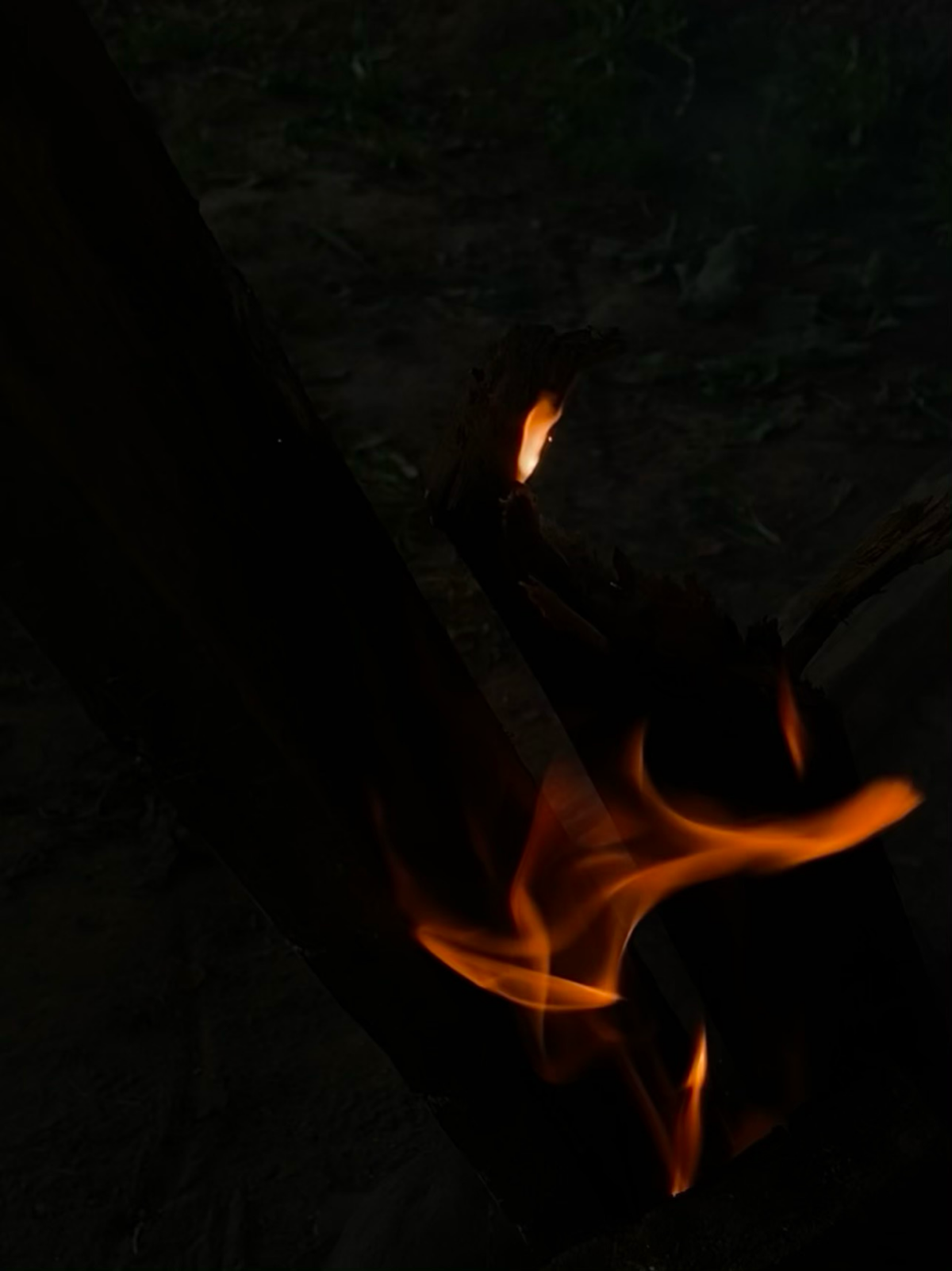 Let’s see how this plays out on the next move | Сетка — социальная сеть от hh.ru