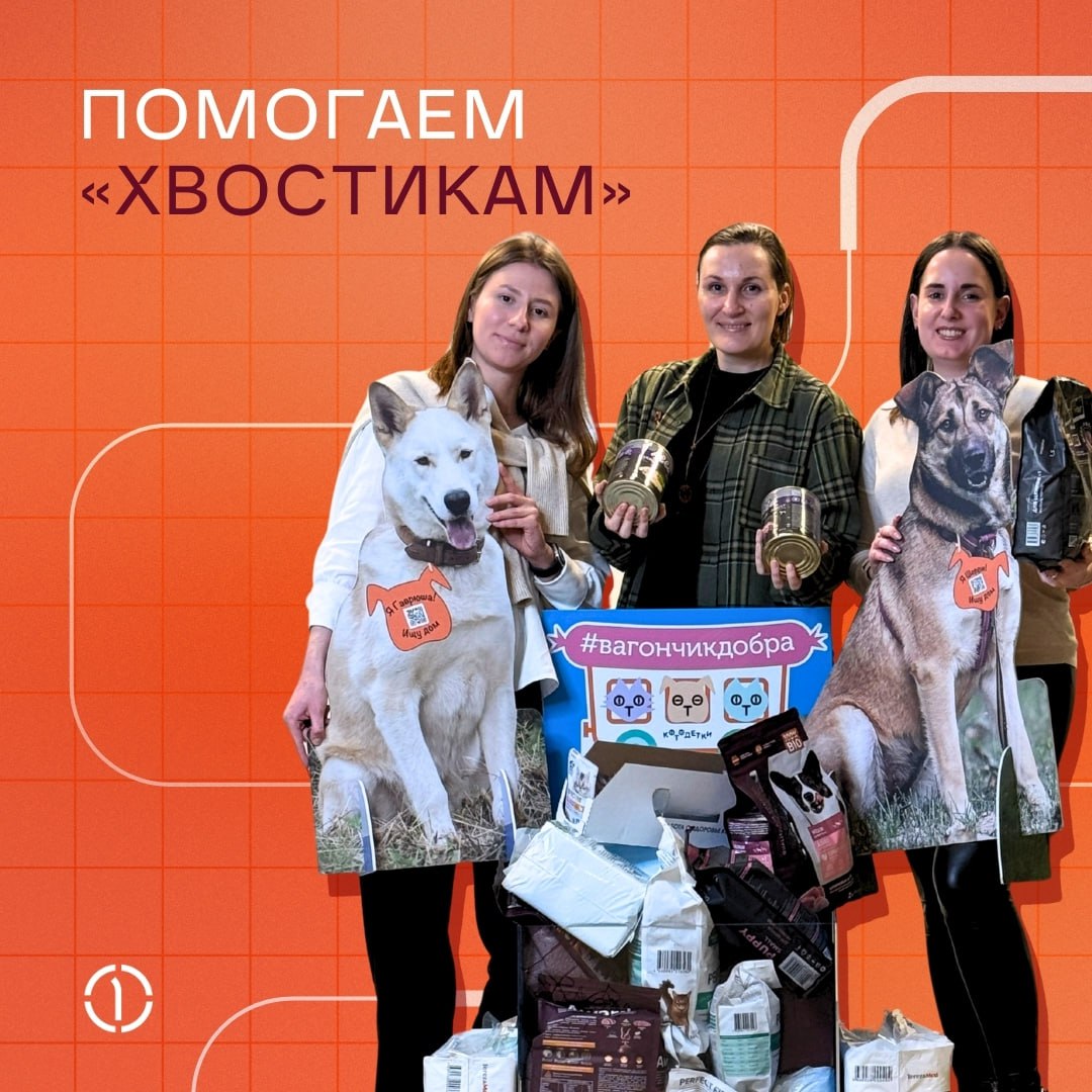 #вагончикдобра отправился со станции ПГК! 💕
Наш волонтёрский корпус не устаёт творить добро: на этот раз коллеги поспешили на помощь братьям нашим меньшим и совместно с благотворительным фондом «Котод... | Сетка — социальная сеть от hh.ru