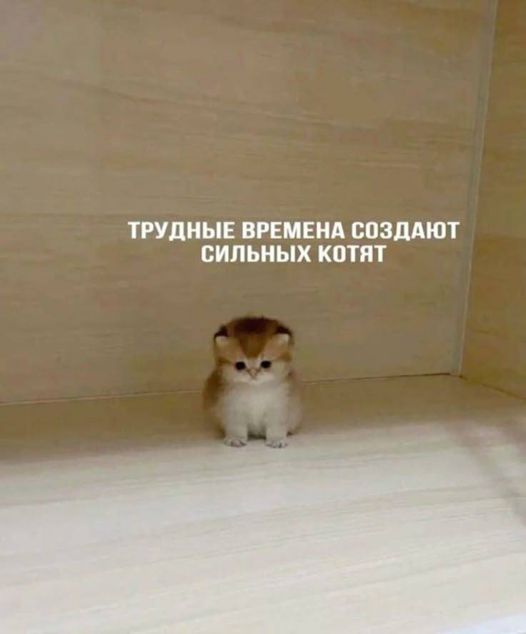 Почему важно не откладывать начало изменений? 🤔 | Сетка — социальная сеть от hh.ru