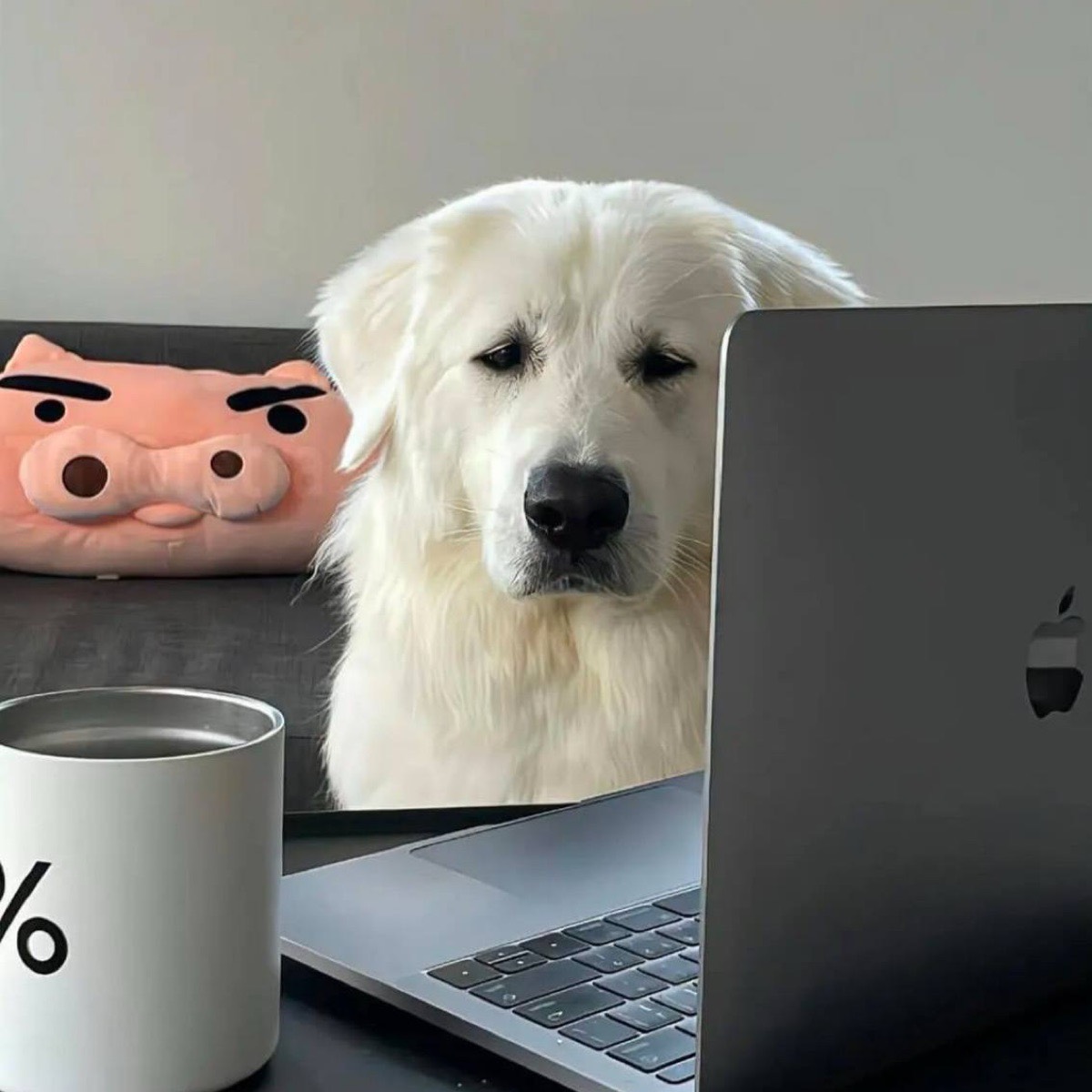 Даниил Овк