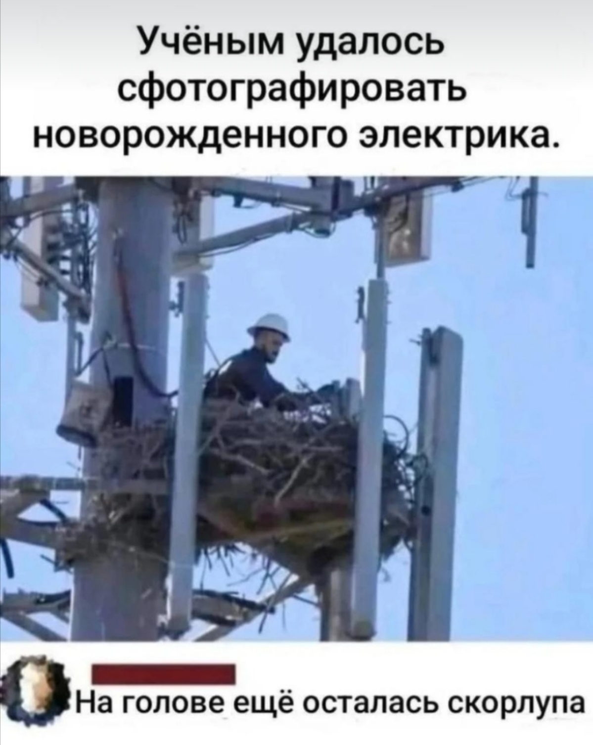 Кстааати... | Сетка — социальная сеть от hh.ru