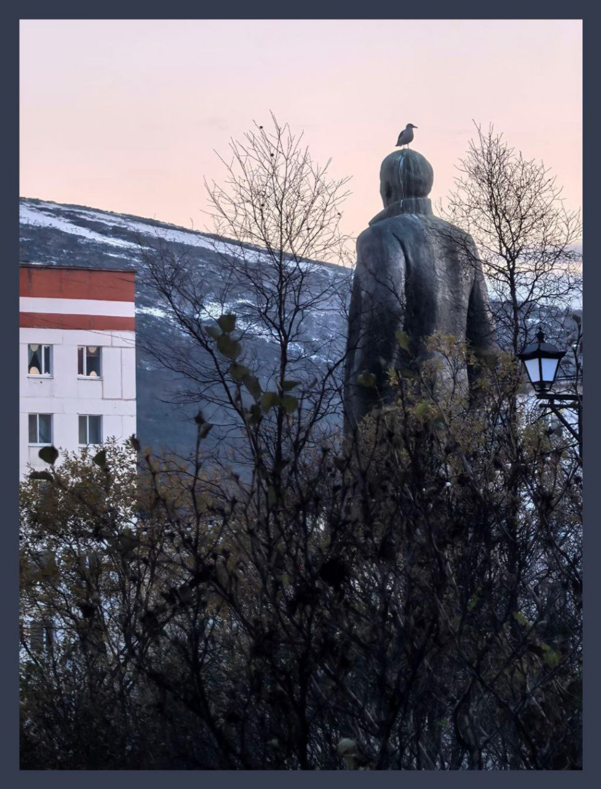 Чайка и Владимир Ленин / A seagull and Vladimir Lenin | Сетка — социальная сеть от hh.ru