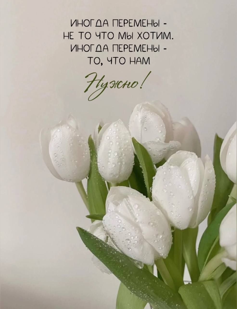 🌸 🌷Весеннего настроения🥰🌸 | Сетка — социальная сеть от hh.ru
