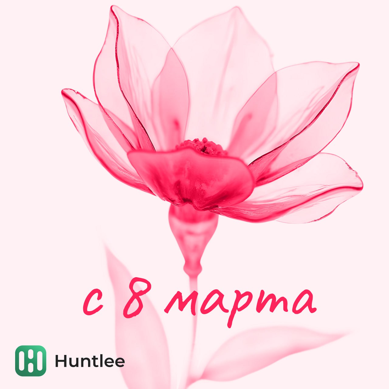 Дорогие HR-волшебницы, с Международным женским днём!🌷
Пусть ваши рабочие будни будут наполнены уважением и пониманием, а не очередными «креативными» идеями руководства | Сетка — социальная сеть от hh.ru