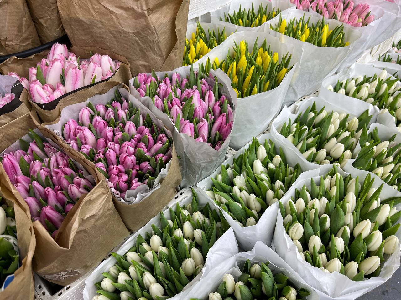 🌷Где купить тюльпаны по оптовой цене?
🌷Компания Flavomarketодин из ведущих импортеров цветов приглашает посетить новый складпо адресу: 1-я Рыбинская ул.1с4 | Сетка — социальная сеть от hh.ru