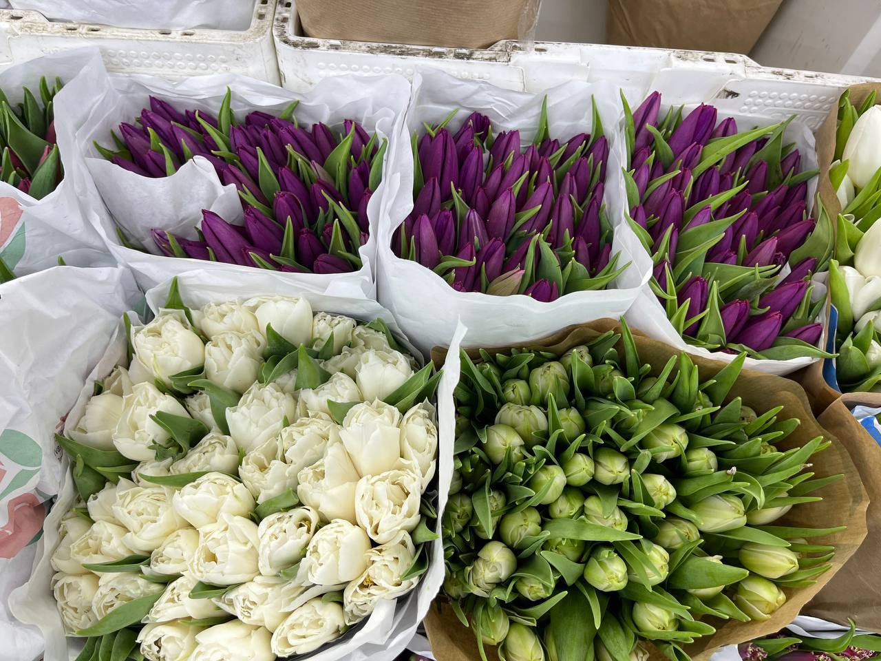 🌷Где купить тюльпаны по оптовой цене?
🌷Компания Flavomarketодин из ведущих импортеров цветов приглашает посетить новый складпо адресу: 1-я Рыбинская ул.1с4 | Сетка — социальная сеть от hh.ru